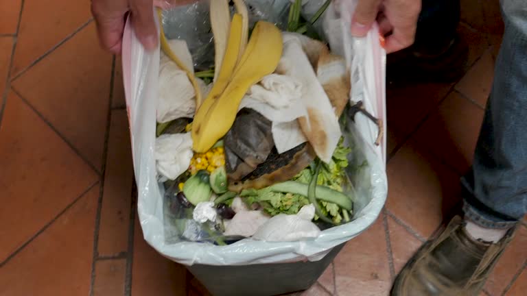 Reliable North Oaks, MN Junk Removal Services Solutions
